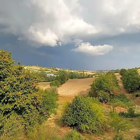 Il Ghiro Dormiglione Bed & Breakfast Cocconato