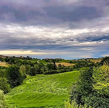 Il Ghiro Dormiglione Cocconato