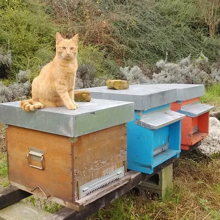 ベッド・アンド・ブレックファスト Il Ghiro Dormiglione Cocconato